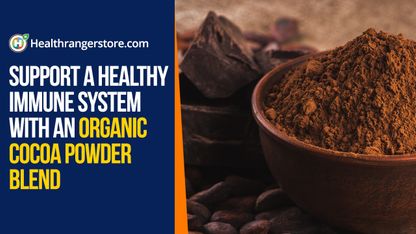 Support a healthy immune system with an organic cocoa powder blend