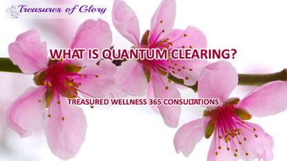 Treasured Wellness 365 Consultations - Quantum Clearing