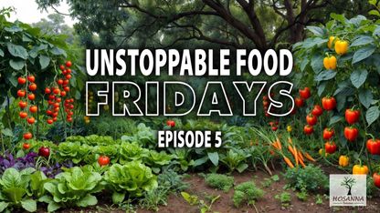 Unstoppable Food Friday #5.