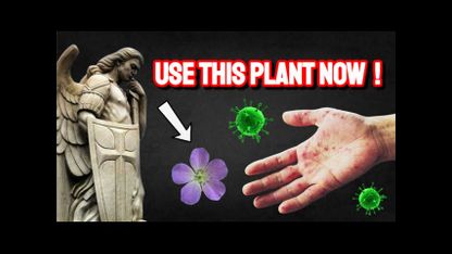 St. Michael Advises this Plant to be Used Externally if You have Skin Disease!