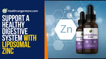 Support a healthy digestive system with liposomal zinc