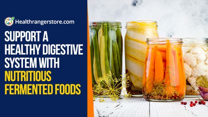 Support a healthy digestive system with nutritious fermented foods