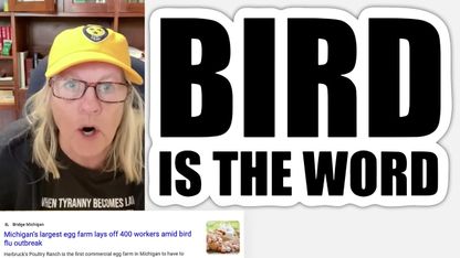 Dr. Judy Mikovits - Why Is the Mainstream Media Reporting? "3 More Michigan Daily Herds Test Positive for Bird Flu" Plus What Is Going on at UCLA?