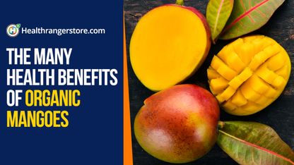 The many health benefits of organic mangoes