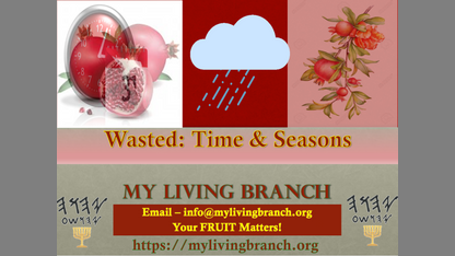 Wasted: Time & Season