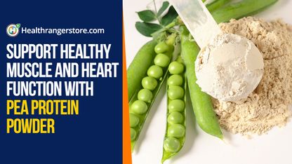 Support healthy muscle and heart function with pea protein powder