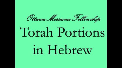 Torah Portions in Hebrew