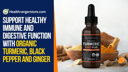 Support healthy immune and digestive function with organic turmeric, black pepper and ginger