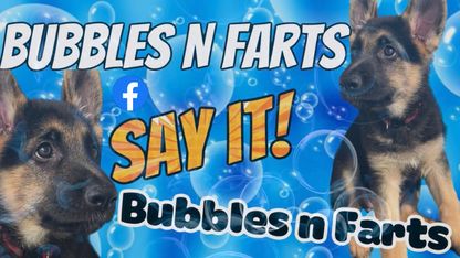 [Streamed live on Feb 22, 2023] CuttingEdge: Bubbles N Farts - Say It!