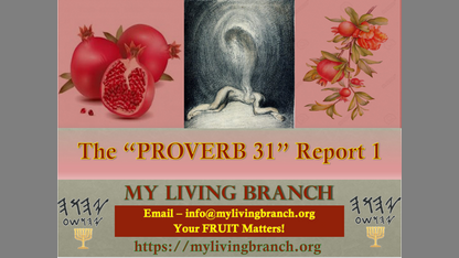 The Proverbs 31 Report