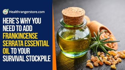 Here's why you need to add Frankincense Serrata Essential Oil to your survival stockpile