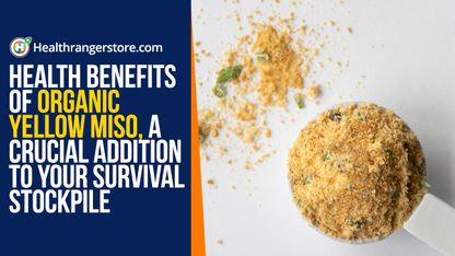 Health benefits of organic yellow miso, a crucial addition to your survival stockpile