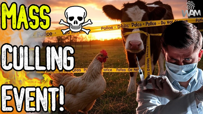 MASS CULLING EVENT! - Bird Flu Hoax Leads To Culling Of Millions Of Animals As Travel Alerts Issued!