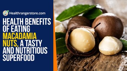 Health benefits of eating macadamia nuts, a tasty and nutritious superfood
