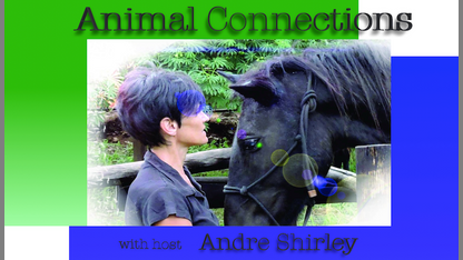 Animal Connections