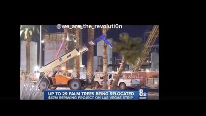 Trees coming Down 5G going Up!!